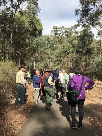 Walking in Grassy Flat, Bendigo
Kennington 
Parks Victoria
Welcome Walks